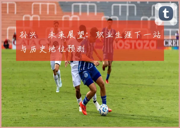 孙兴慜未来展望:职业生涯下一站与历史地位预测