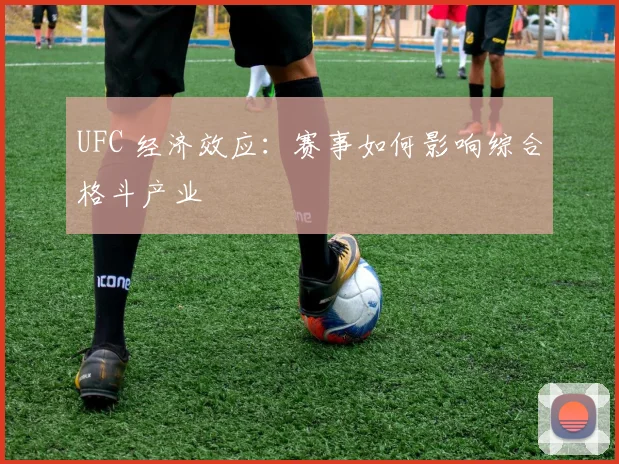 UFC 经济效应:赛事如何影响综合格斗产业