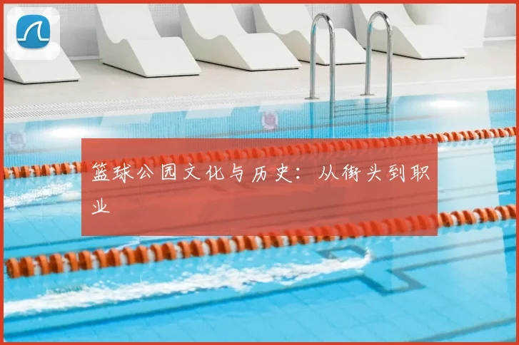 篮球公园文化与历史:从街头到职业