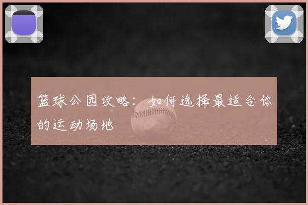 篮球公园攻略:如何选择最适合你的运动场地