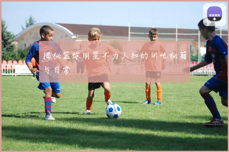 揭秘篮球明星不为人知的训练秘籍与日常