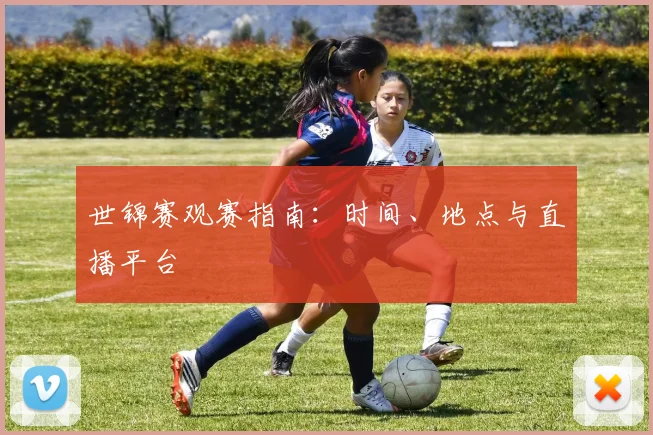 世锦赛观赛指南：时间、地点与直播平台
